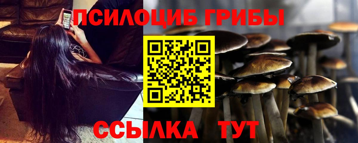 Псилоцибиновые грибы мицелий  Псилоцибиновые грибы MAGIC MUSHROOMS  Вход с VPN  Новокузнецк 